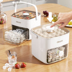 Press Type Ice Cube Molder